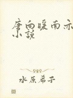 唐向暖南亦琛的小说