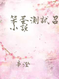 笨蛋测试召唤兽小说