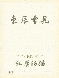 东辰雪见