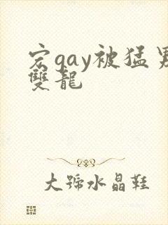 宏gay被猛男双龙