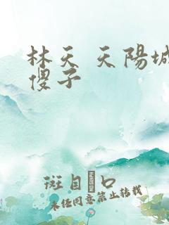 林天 天阳城 傻子