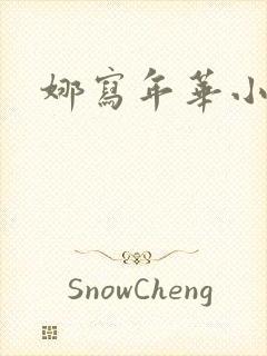 娜写年华小说