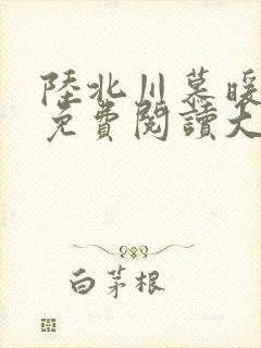 陆北川慕暖全文免费阅读大结局