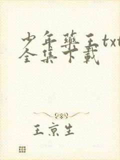 少年药王txt全集下载