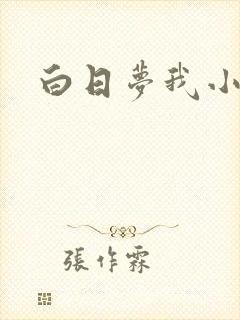 白日梦我小说