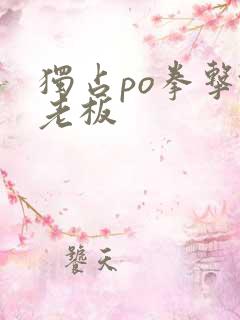 独占po拳击馆老板