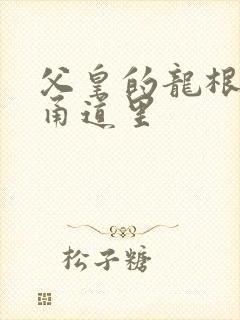 父皇的龙根在我甬道里