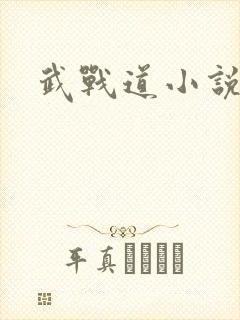 武战道小说