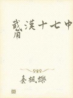 武汉十七中女主角