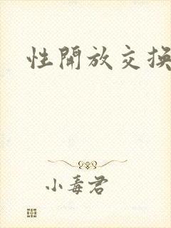 性开放交换小说