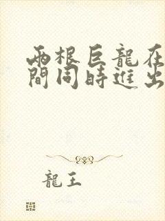 两根巨龙在她腿间同时进出