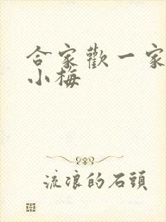 合家欢一家亲黄小梅