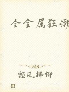 全金属狂潮小说