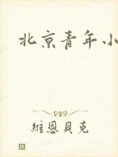 北京青年小说