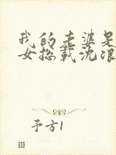 我的老婆是冰山女总载沈浪