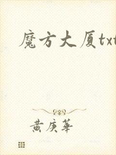 魔方大厦txt