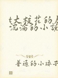 t大校花的屈辱沉沦的小说