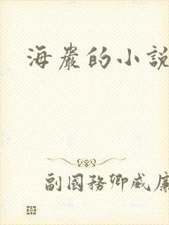 海岩的小说