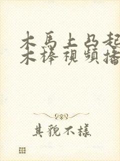 木马上凸起电动木棒视频播放