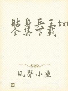 贴身兵王txt全集下载