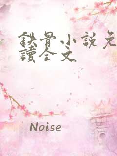 铁骨小说免费阅读全文