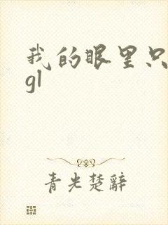 我的眼里只有你gl