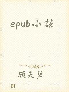 epub小说