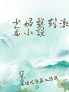 少妇系列激情短篇小说