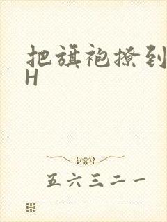 把旗袍撩到腰上H