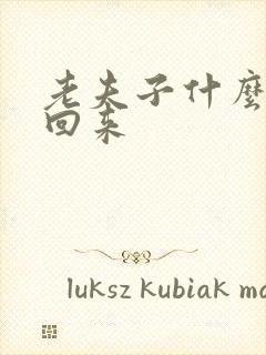 老夫子什么时候回来