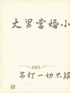 大男当婚小说