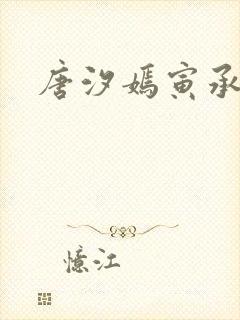 唐汐嫣寅承小说