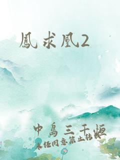 凤求凰2
