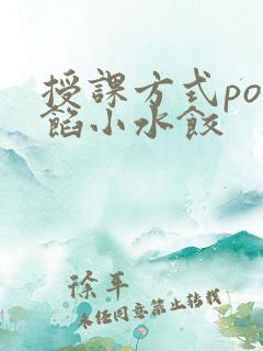 授课方式po肉馅小水饺