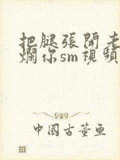 把腿张开老子臊烂你sm视频