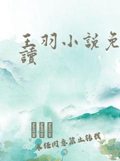 王羽小说免费阅读