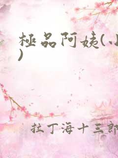 极品阿姨(小说)