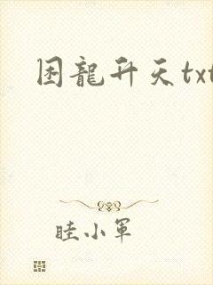 困龙升天txt