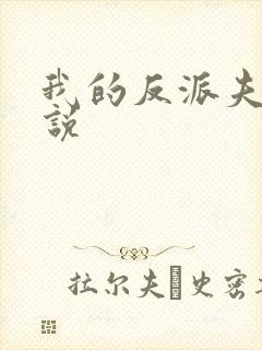 我的反派夫君小说