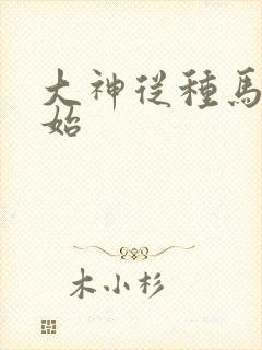 大神从种马文开始