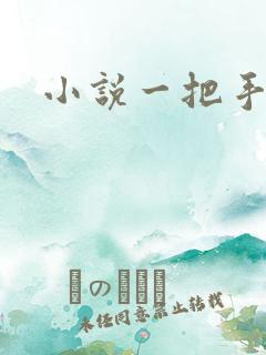 小说一把手