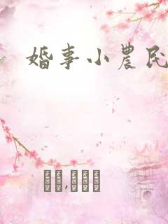 婚事小农民