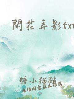 闲花弄影txt