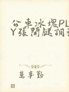 公车冰块PLAY张开腿调教