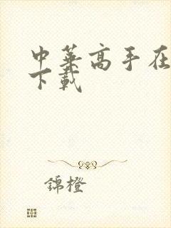 中华高手在异世下载