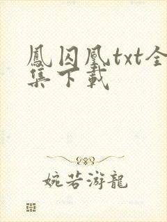 凤囚凰txt全集下载