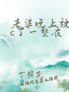 老婆晚上被躁狂c了一整夜