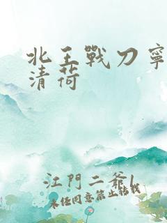 北王战刀宁北苏清荷