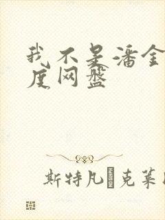 我不是潘金莲百度网盘