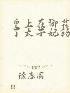 皇上在御花园c了太子妃的网剧